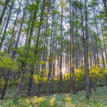 Hotel Sriwijaya 99 パレンバン エクステリア 写真
